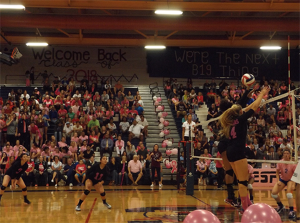 Going up for a spike, Cali Thompson, senior, wears pink to show her support against the fight for breast cancer during the Dig Pink game against Green Valley high school n the gymnasium on Tuesday, Oct. 13.