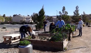 With 28 fruit trees and nine raised beds, lots of helping hands are needed to keep up with the Teaching Garden’s half acre of land. Mr. Manning’s class is out there most Mondays and Thursdays to water plants and pick fruits and veggies. Photo by Faith Evans